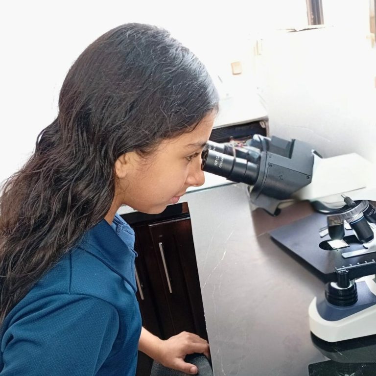 Acompañamiento homeshool