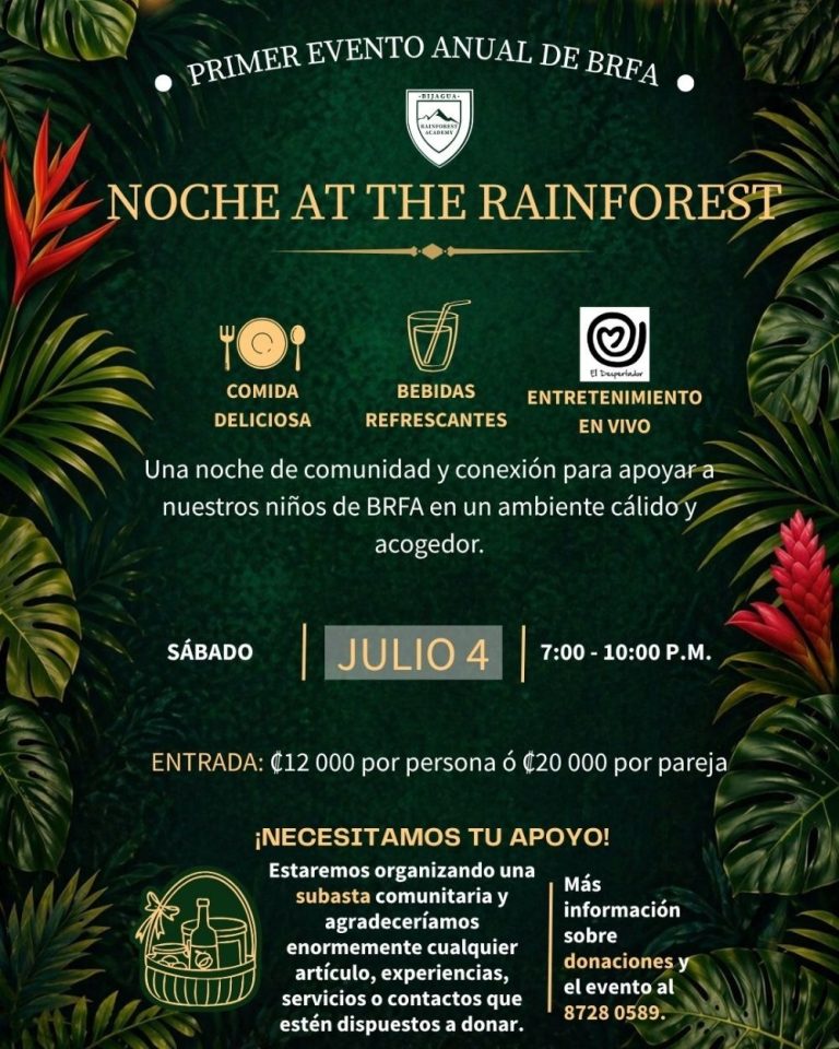 noche at the rainforest